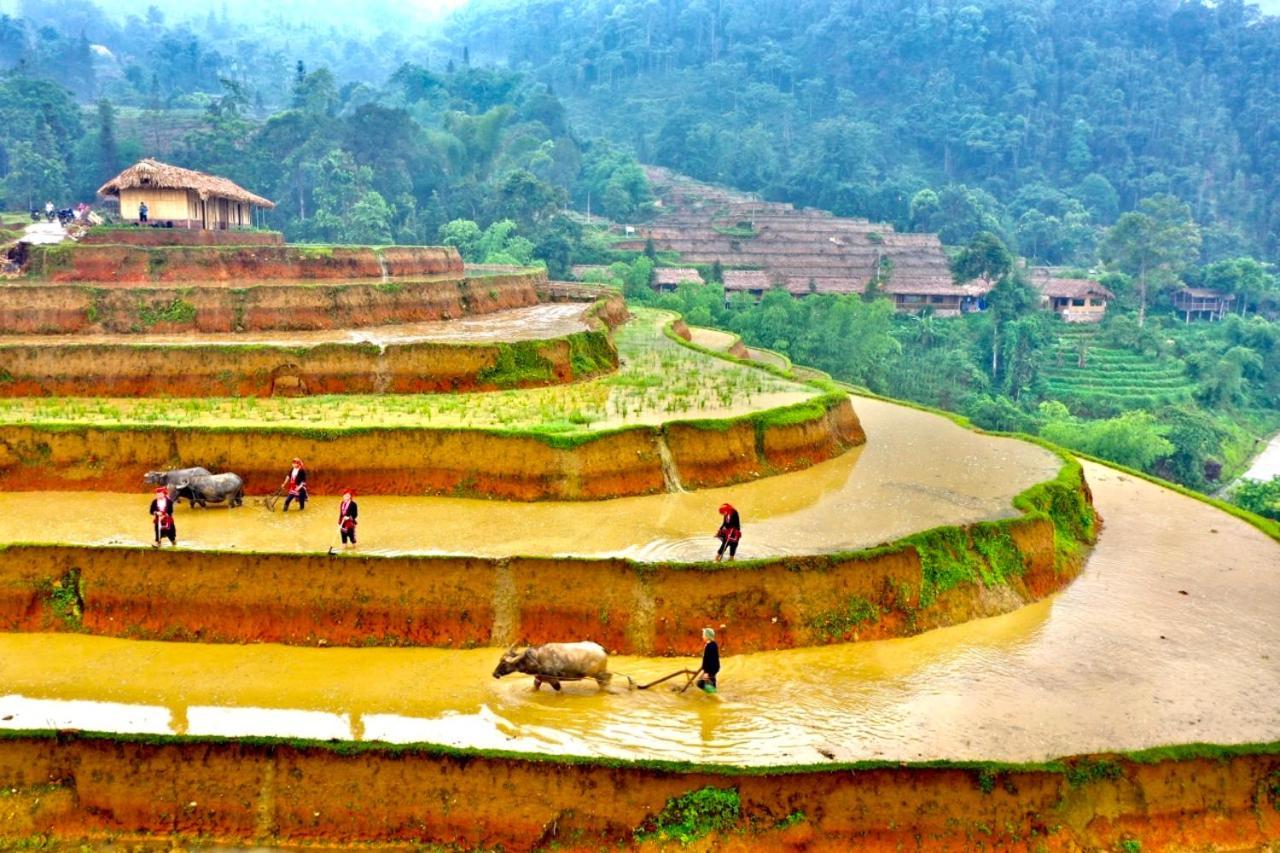 Hoang Su Phi Bungalow Exteriér fotografie