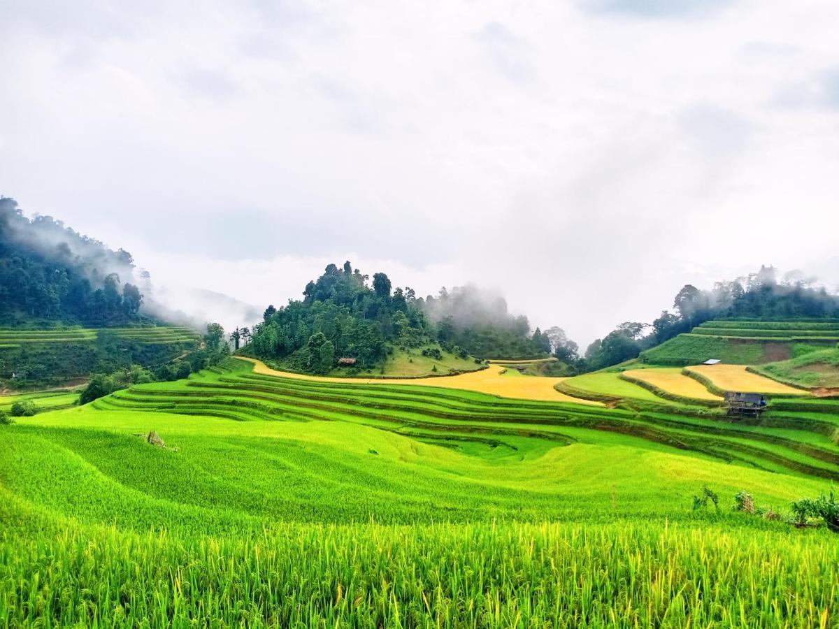 Hoang Su Phi Bungalow Exteriér fotografie
