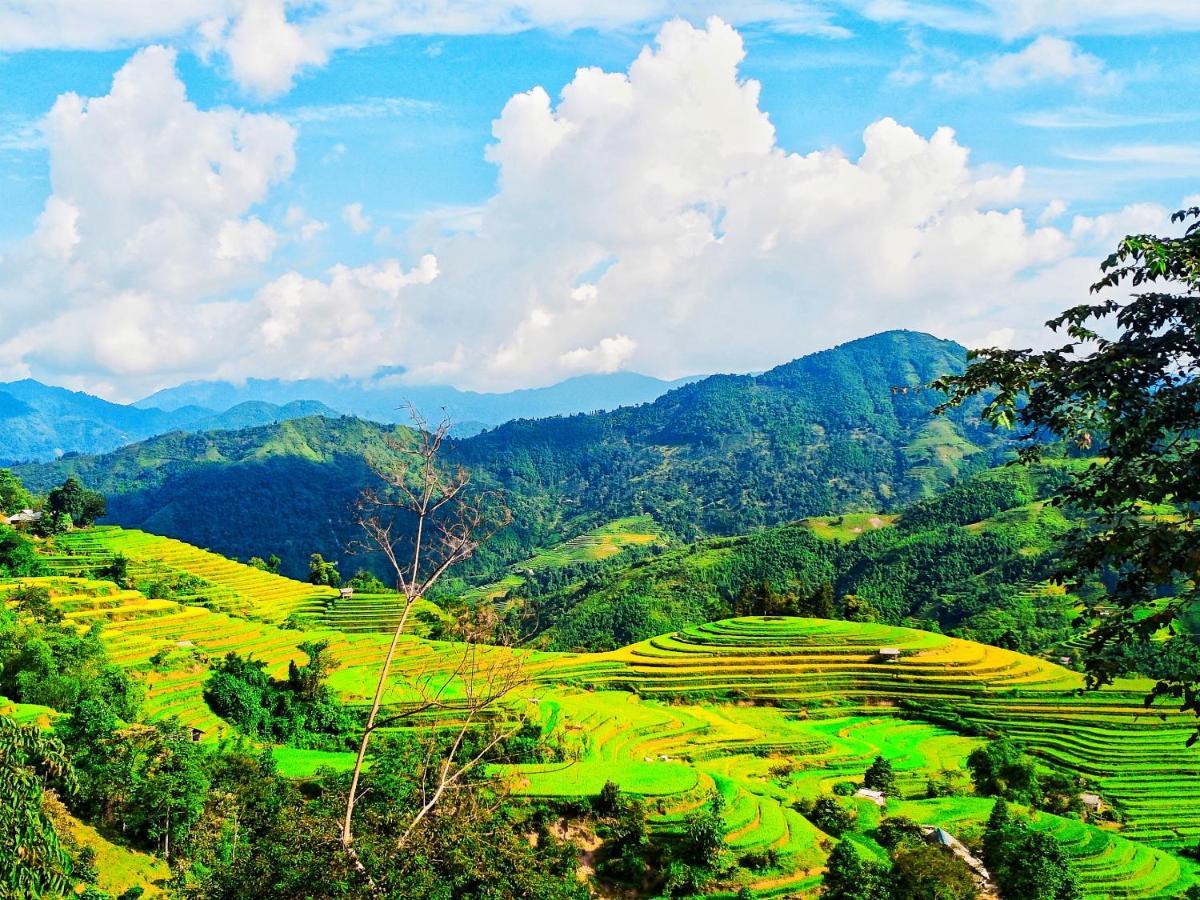 Hoang Su Phi Bungalow Exteriér fotografie